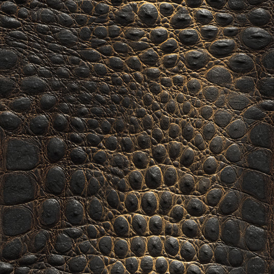Noir Crocodile